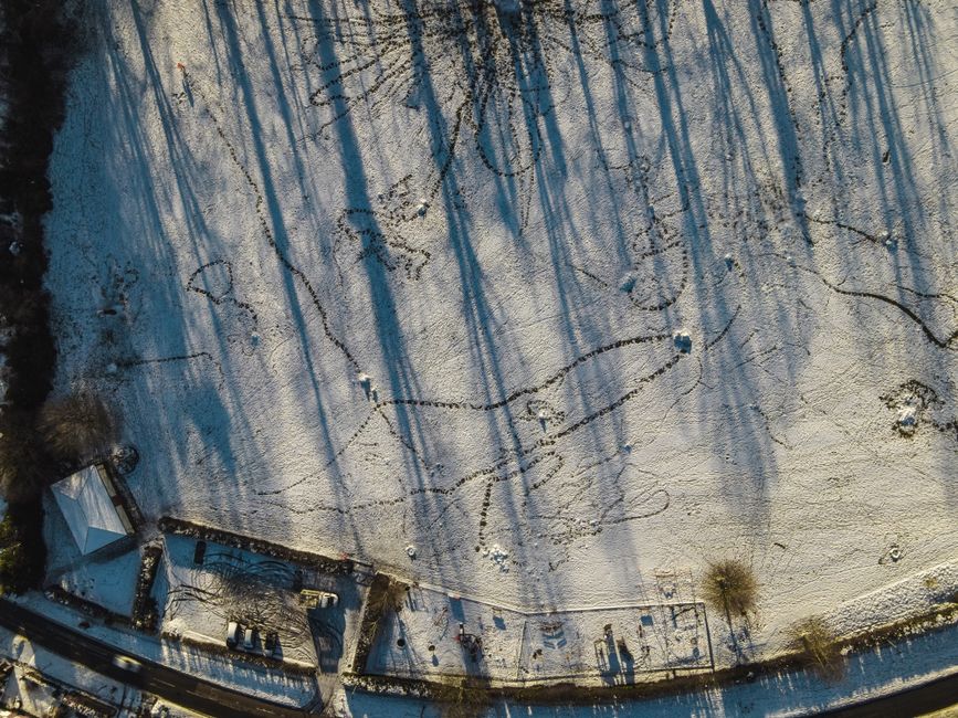 An aerial view of a snow-covered park featuring a large, intricate snow angel and a heart shape drawn in the snow, with surrounding leafless trees casting long, blue-tinged shadows on the ground. In t